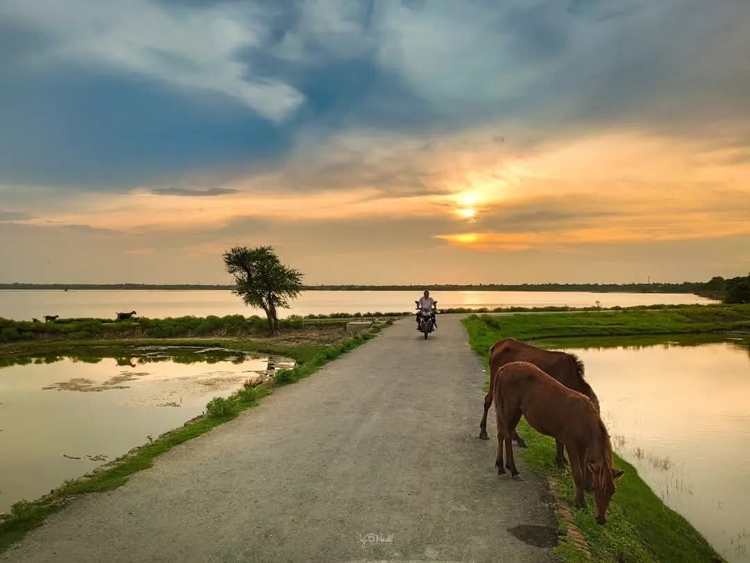 গ্রামীন সুন্দর মনোমুগ্ধকর পরিবেশের দৃশ্য।