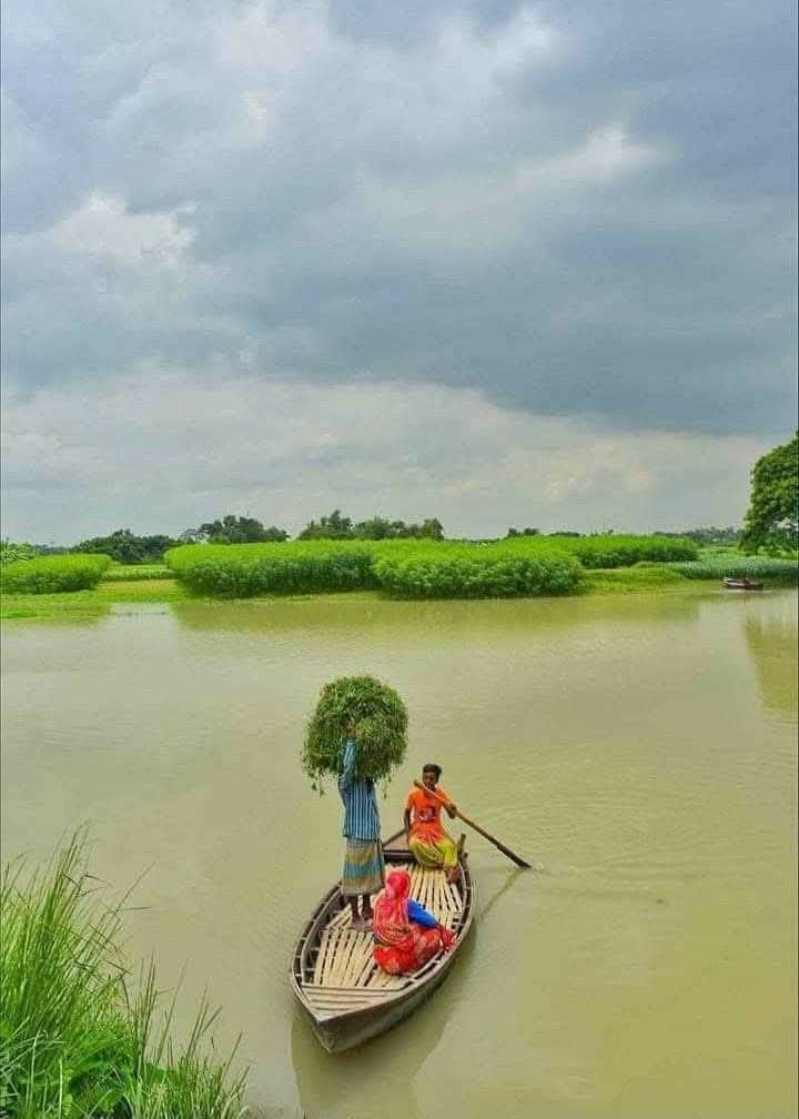 হারিয়ে যাওয়া শিকড়ের শান্ত ছোঁয়া।গ্রামীনজীবন নৌকাভ্রমণ বাংলাররূপ স্মৃতিময় পল্লীরশান্তি মাটিরগন্ধ নির্মলপ্রকৃতি।