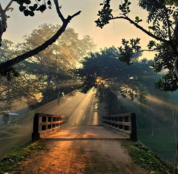শীতের আগমনী সকাল গুলো একটু বেশিই সুন্দর হয়।🌄