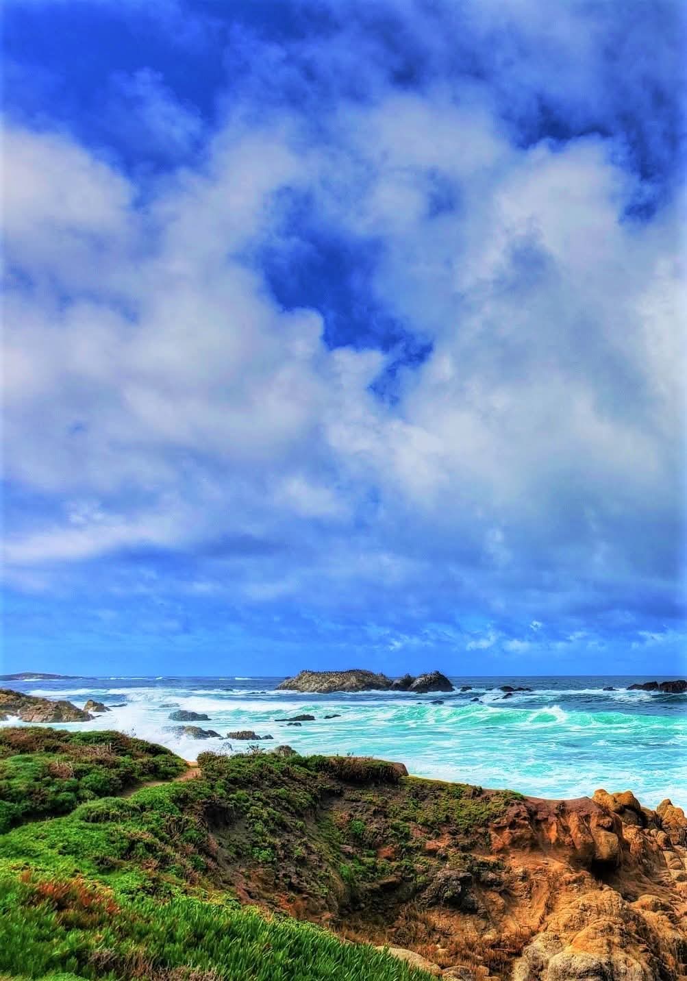 Asilomar State Beach, California, USA.
