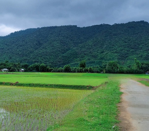 সিলেটের মেঘালয় সীমান্তে পাহাড়ের কোলে মনোরম গ্রাম, রাস্তা ও ধানখেত।❤️