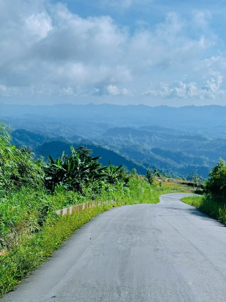 পাহাড়ের মনোমুগ্ধকর পরিবেশের সুন্দর রাস্তা।❤️