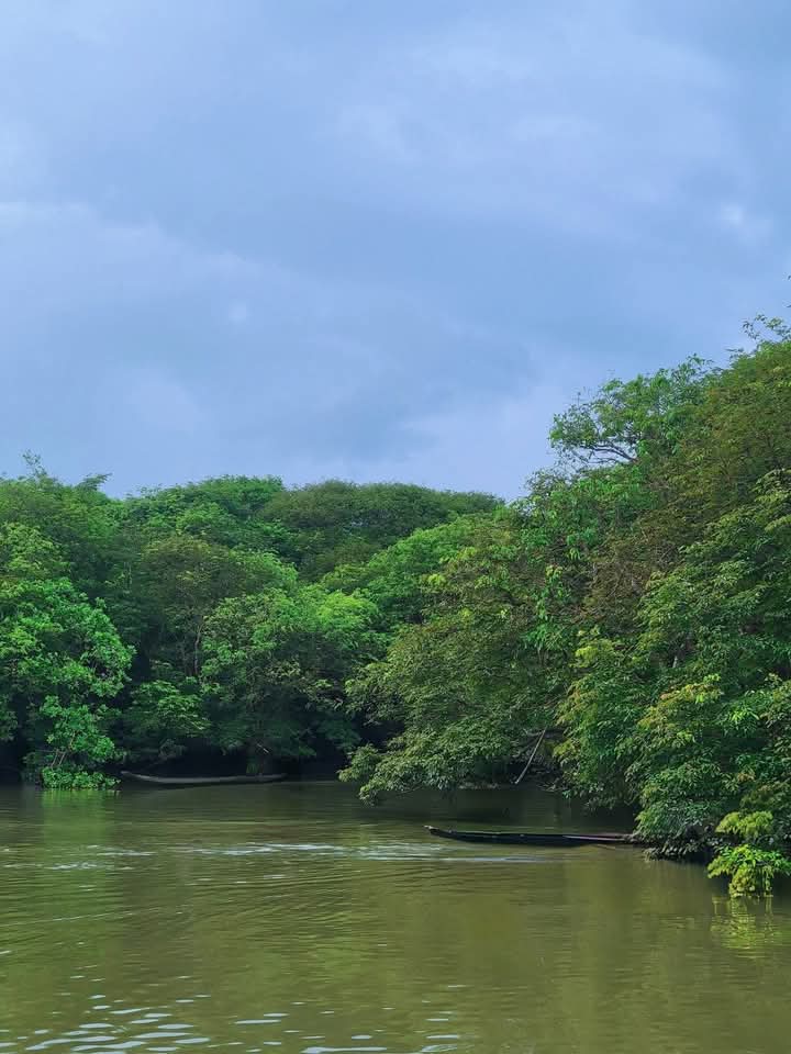বাংলার অ্যামাজন রাতারগুল সোয়াম্প ফরেস্ট। ❤️