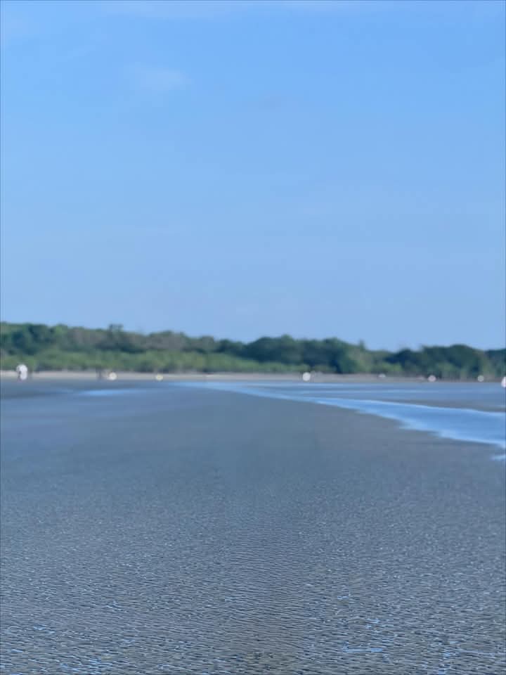 সুন্দরবনের সুন্দর সমুদ্রসৈকত ডিমের চর।❤️