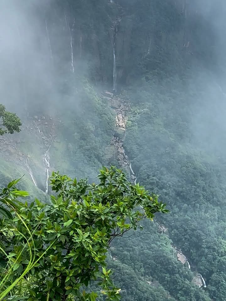 পাহাড় থেকে মেঘের রাজ্যের সুন্দর দৃশ্য।💚