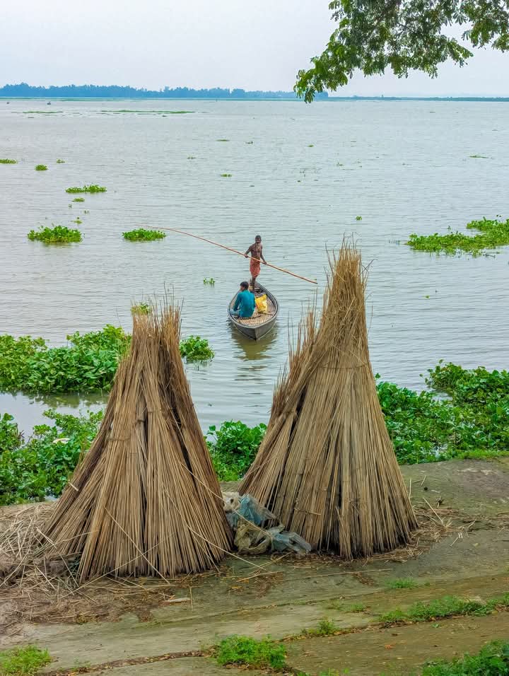 জীবনের সহজ রূপ, গ্রামবাংলার বিল আর মানুষ।🌸