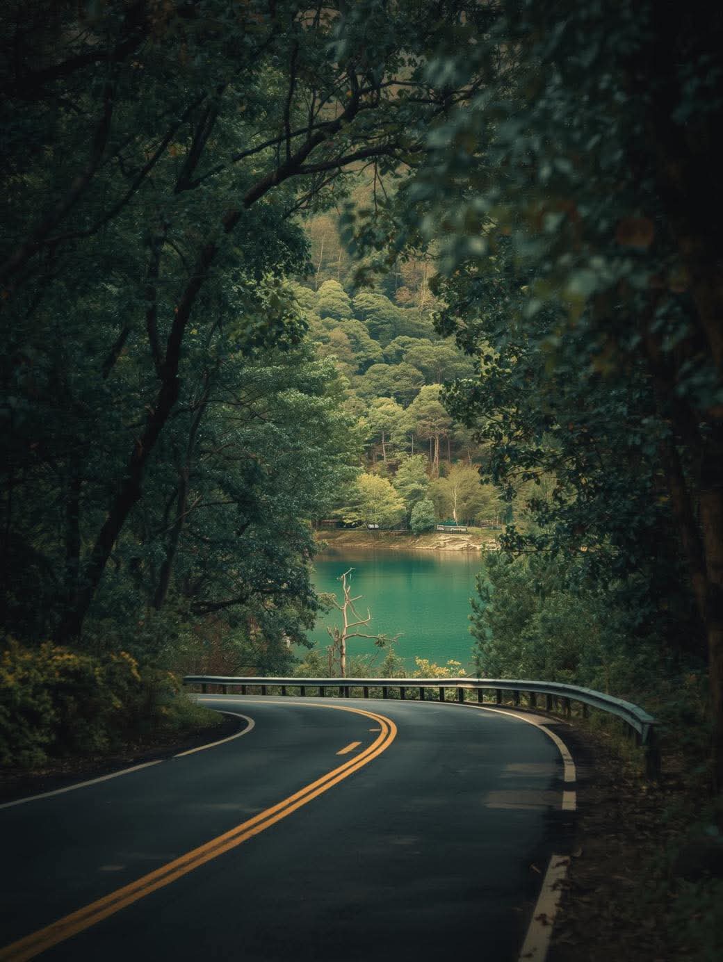 Scenic  road in Nothern California USA