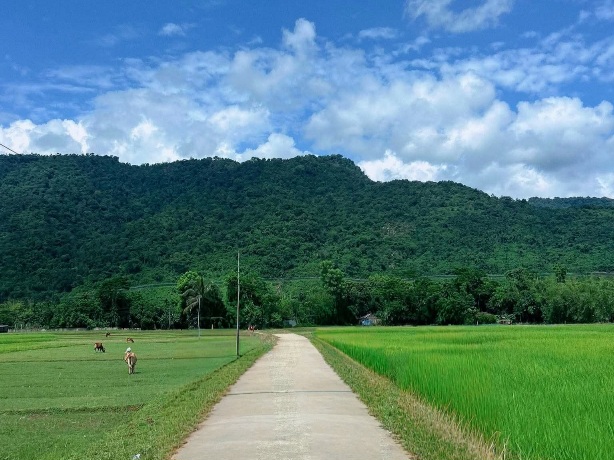 পথ যদি হয় এমন সুন্দর, পথে হারাতে নেই মানা।