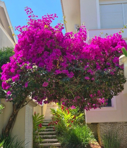 কখনো কখনো সুখ ঠিক এই রকম দরজার বাইরে চুপচাপ ফুটে থাকা একগুচ্ছ ফুল।🌸💜