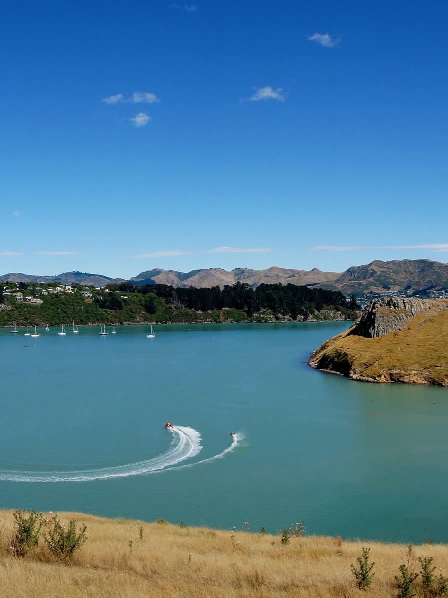 Purau Bay, New Zealand.