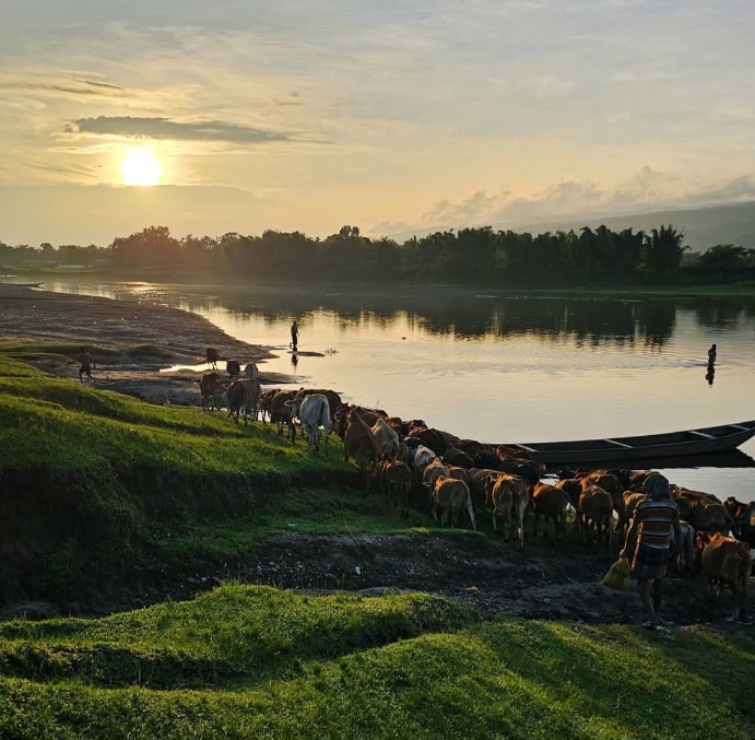 অপরাহ্নের গল্প।
গোয়াইনঘাট, সিলেট, বাংলাদেশ।