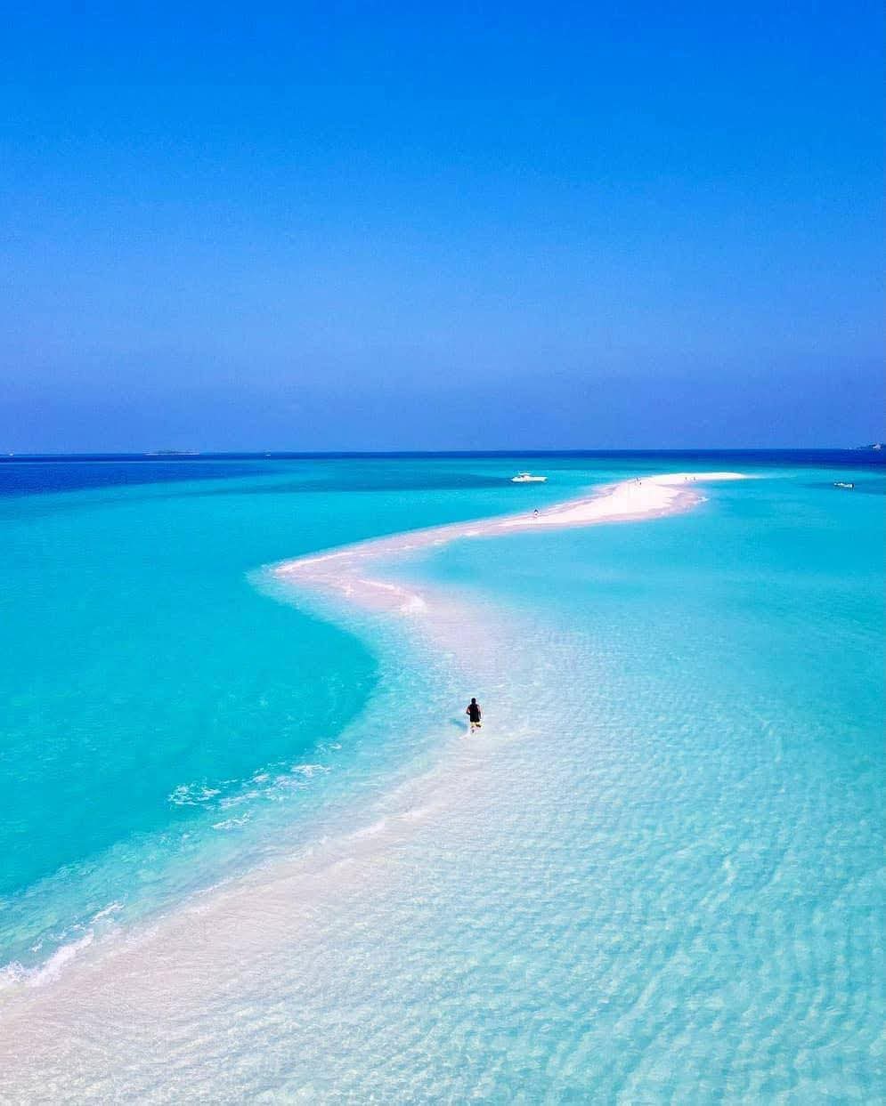 Sandbank Island In The Maldives 🇲🇻