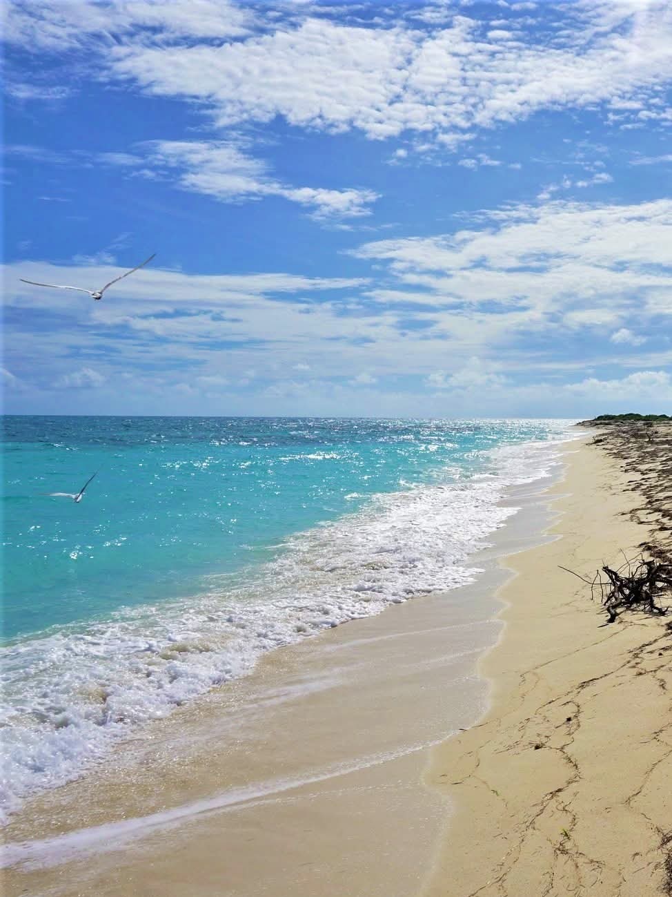 Loggerhead Key, Florida, USA.