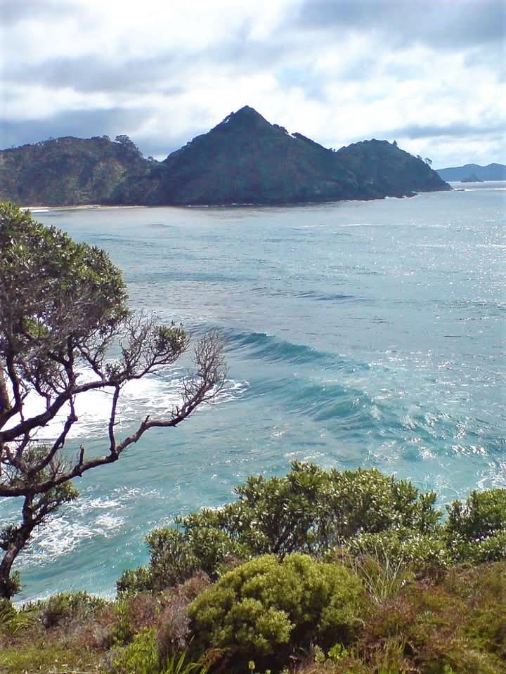 Oruawharo Bay, New Zealand.