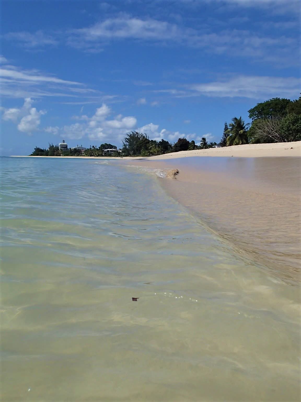 Barbados, Caribbean Sea.