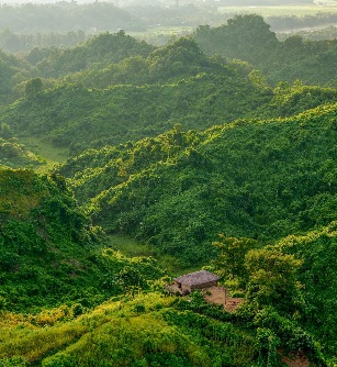 সবুজের ভেতর শান্তির এক ঠিকানা।🍃
