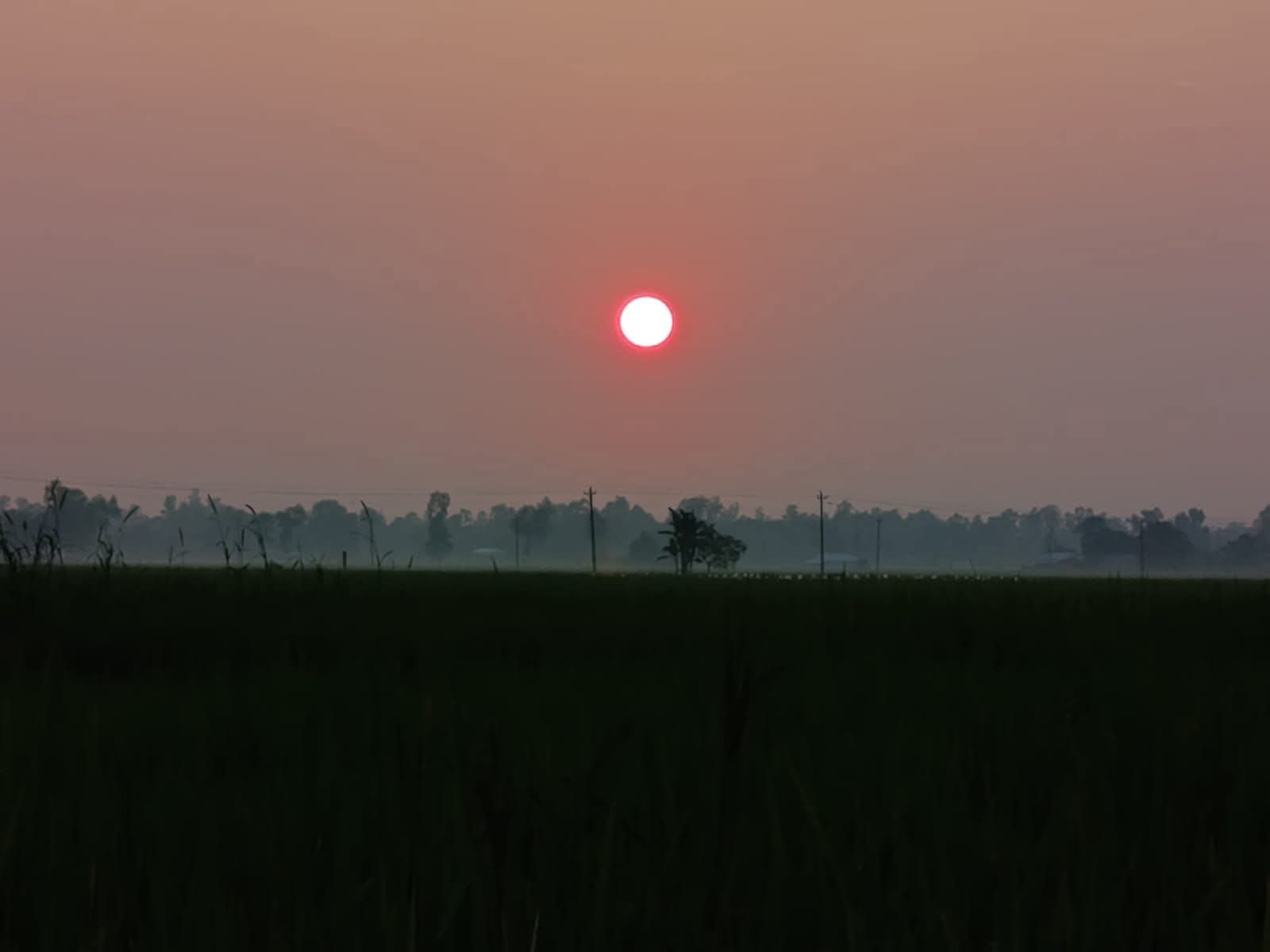 পরন্ত বিকেল একটু বেশি সুন্দর।😊