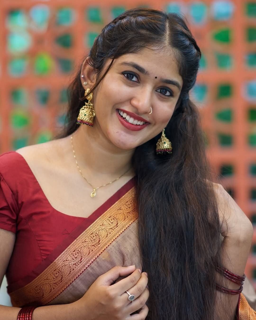 Kalyani Anil - Saree Beauty