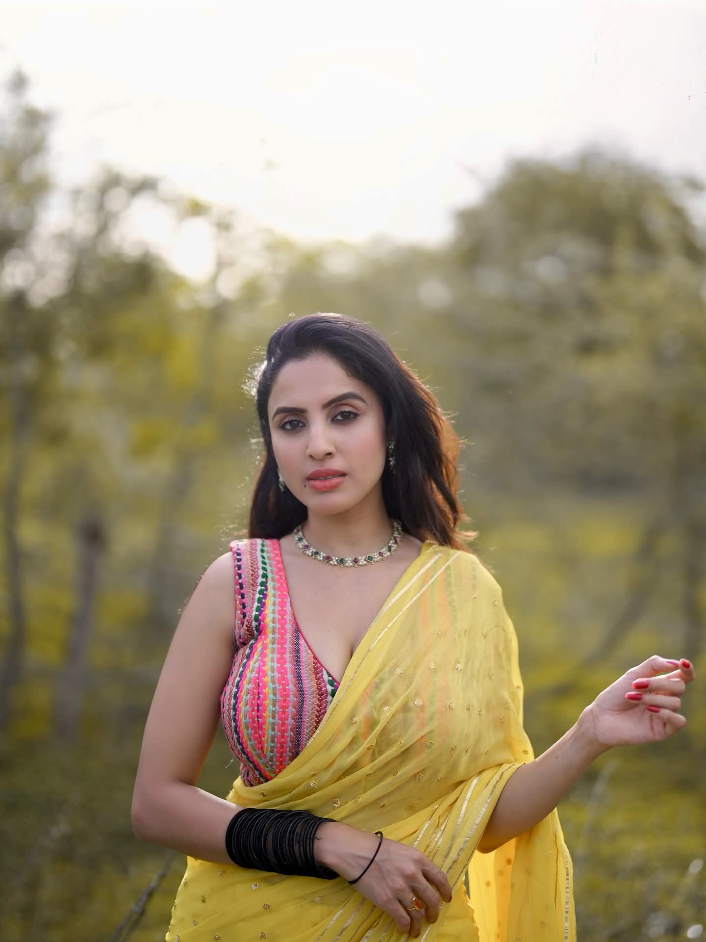 Priyanka Kholgade - Saree Lover