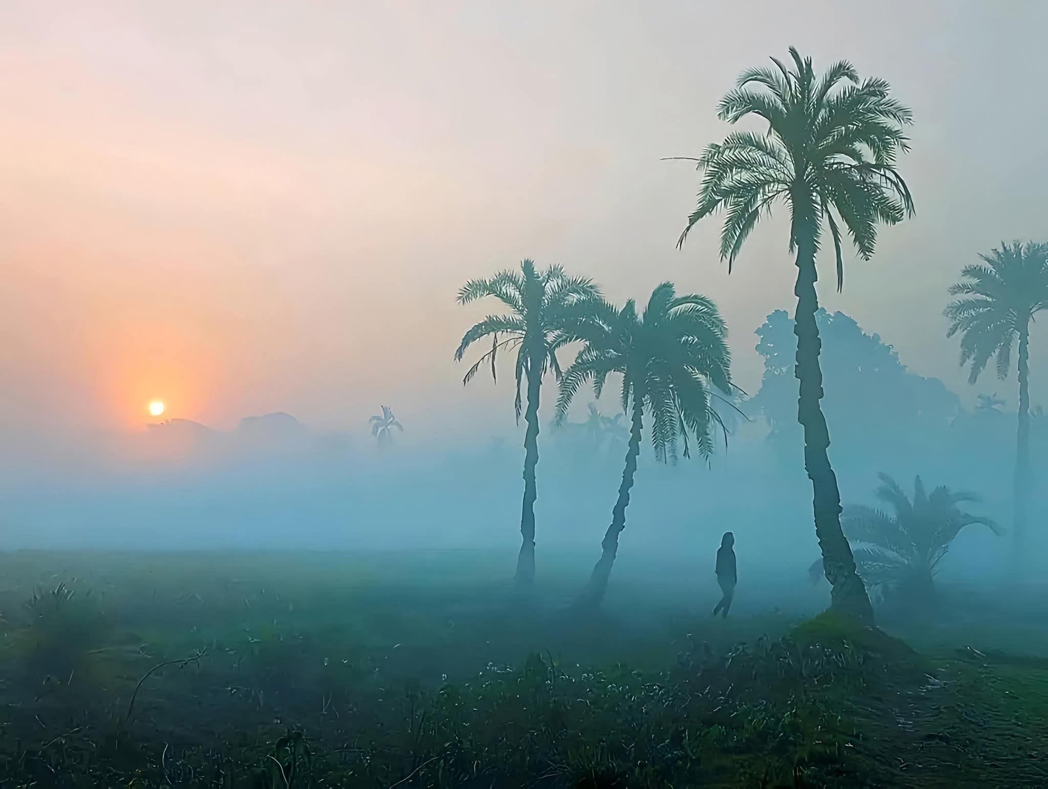 গ্রামের শীতের সকালের মনোমুগ্ধকর পরিবেশের সুন্দর দৃশ্য।🥰🌄
