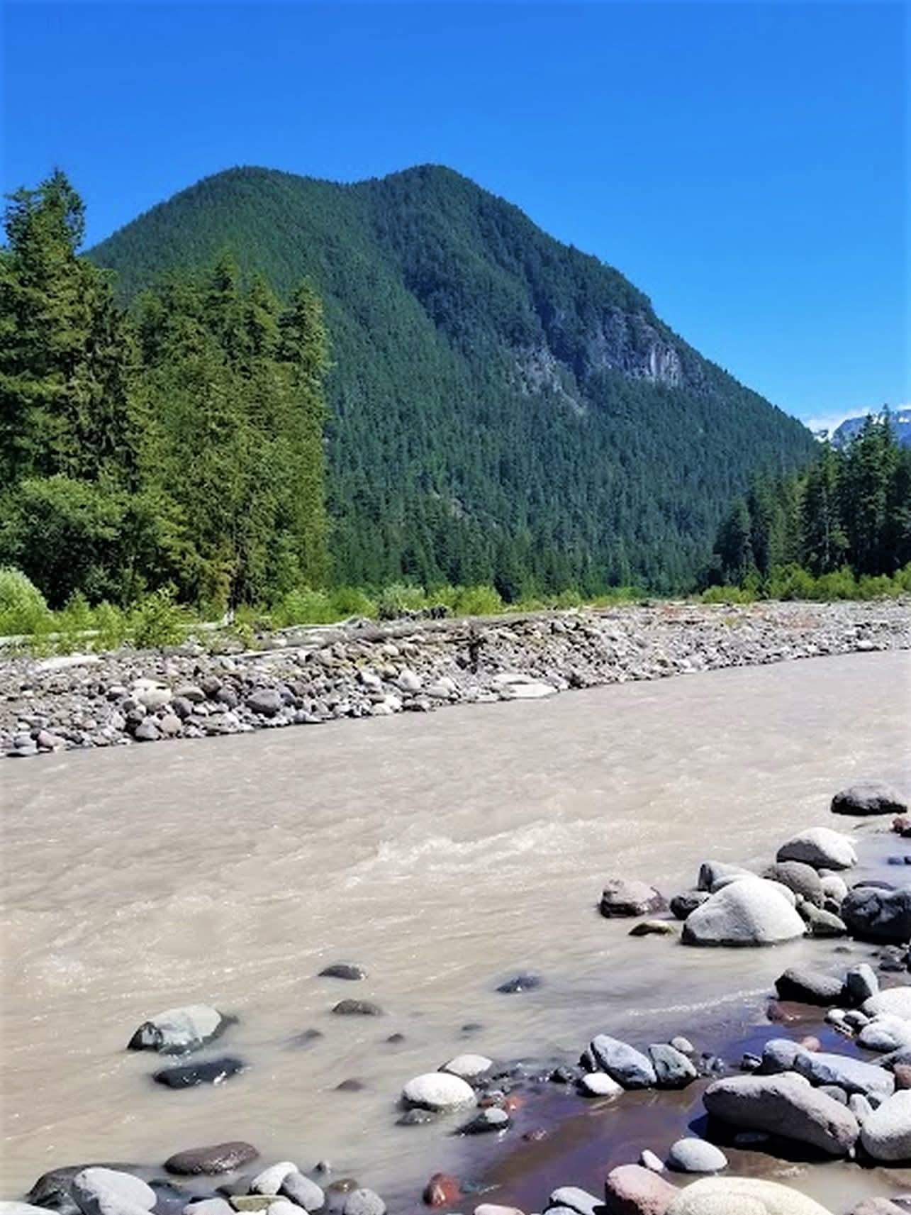 Carbon River, Washington, USA.