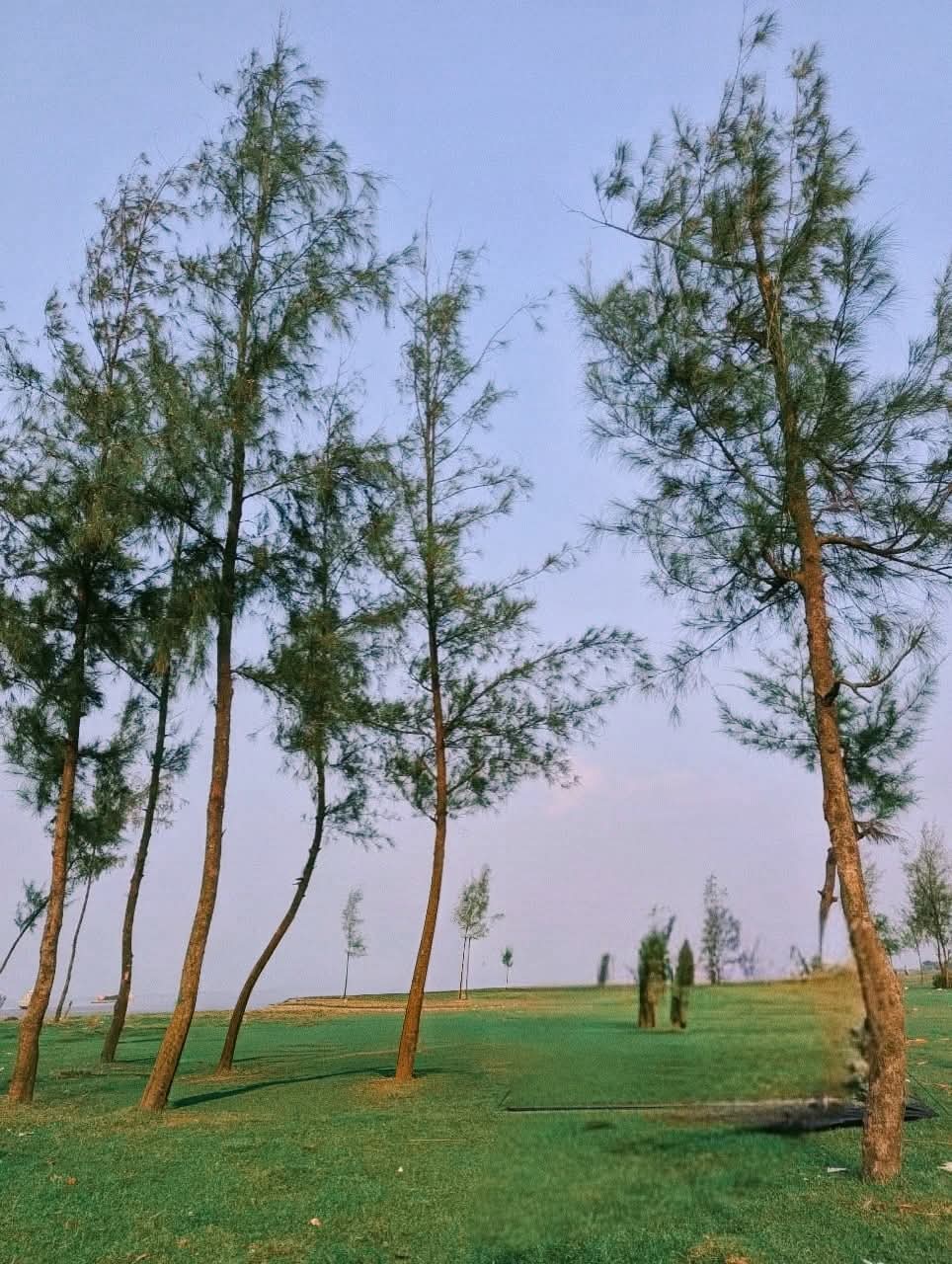 চোখজুড়ানো সোনাদিয়া সমুদ্রসৈকত।❤️