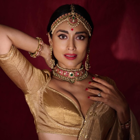 Shriya Saran - Indian Saree Beauty