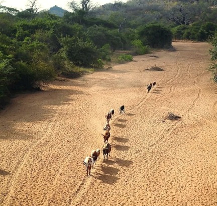 𝗧𝗲𝘁𝗲 𝗽𝗿𝗼𝘃𝗶𝗻𝗰𝗲 | Mozambique 🇲🇿