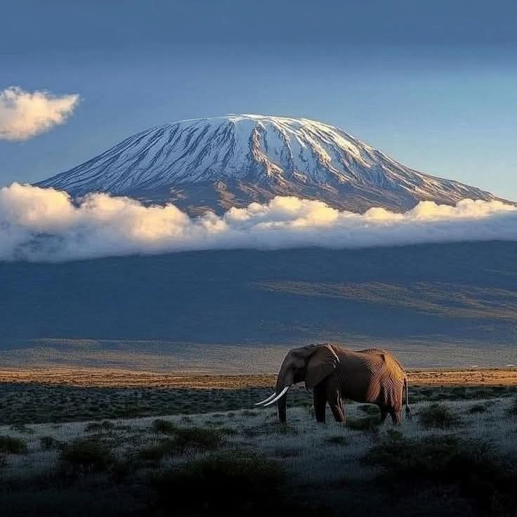 Mount Kilimanjaro, Tanzania 🇹🇿
