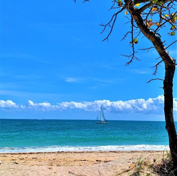 Dania Beach, Florida-USA.