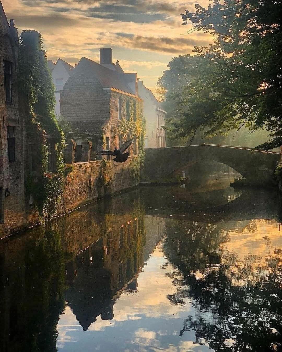 Bruges, Belgium 🇧🇪