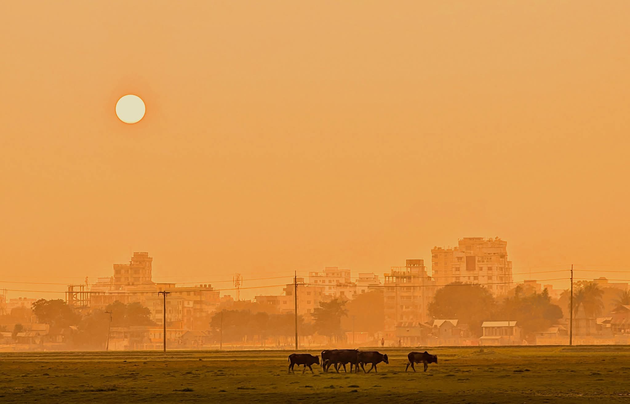 বেলা শেষে ফেরা!!
ব্রাহ্মণবাড়িয়া, বাংলাদেশ।
