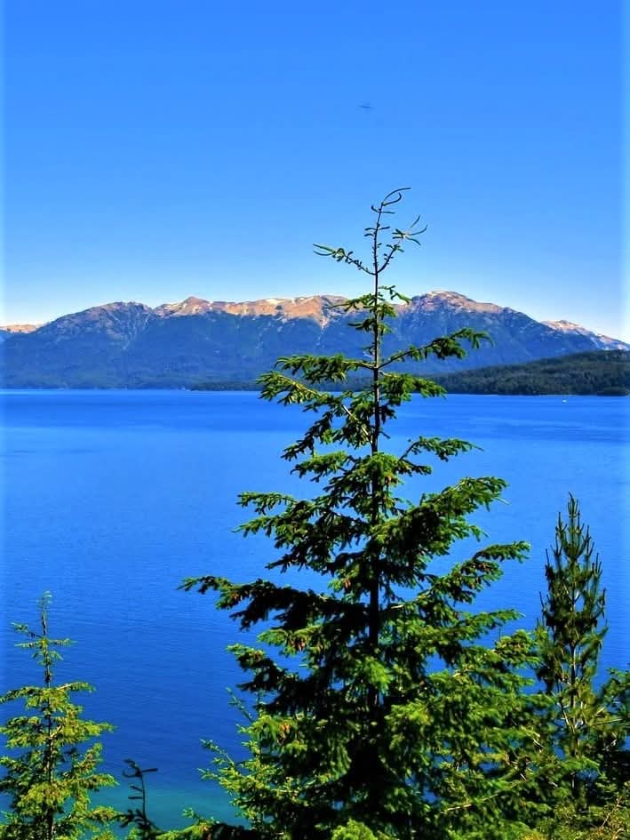 Lácar Lake, Argentina.