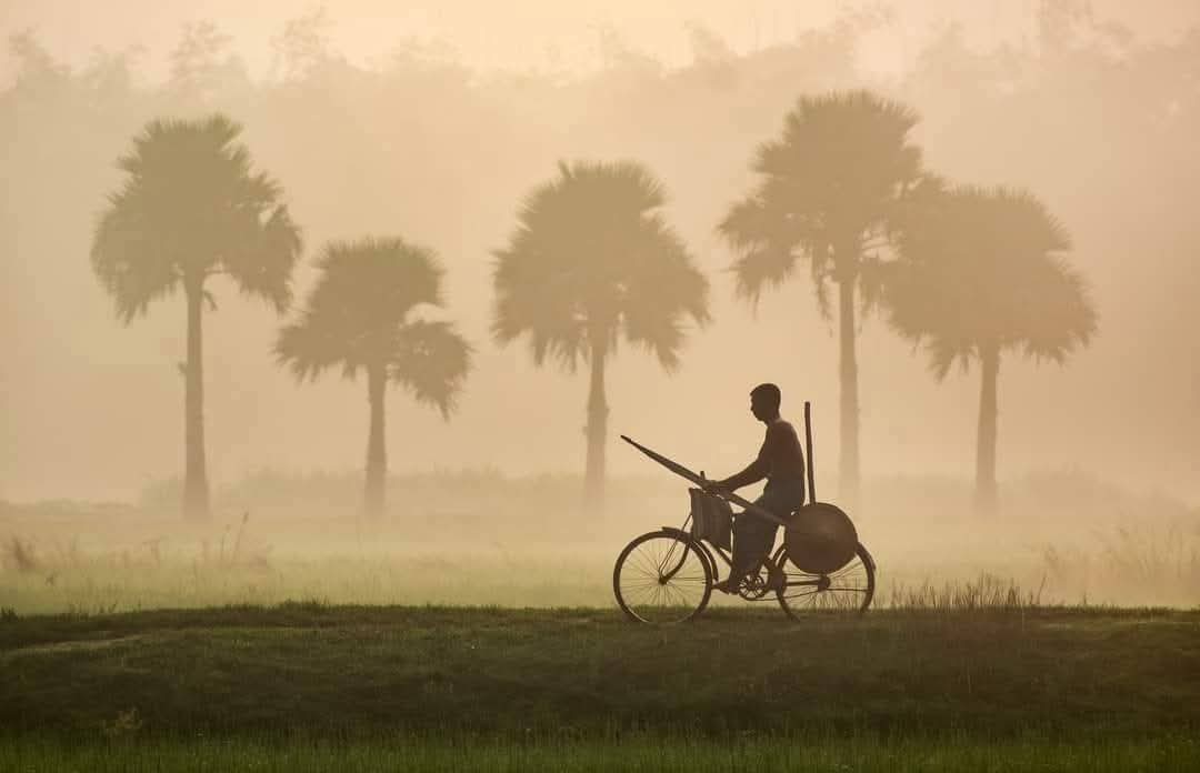 কুয়াশাচ্ছন্ন শীতের সকালের সাইকেল চালিয়ে যাওয়ার মনোমুগ্ধকর পরিবেশের সুন্দর দৃশ্য! 🏔️