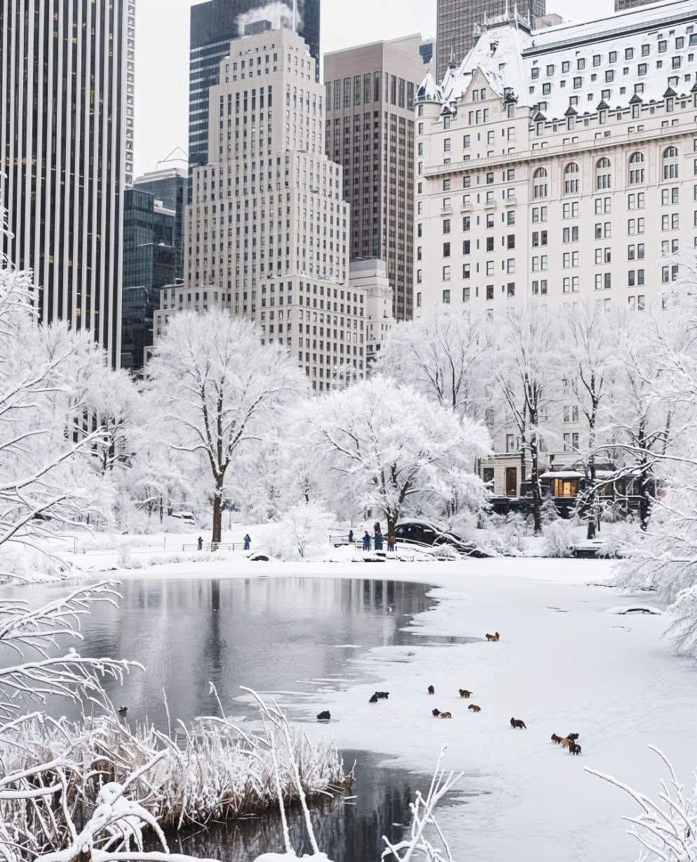 Winter wonderland in Manhattan, USA!