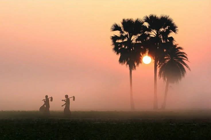 ভোরের কুয়াশা ভেদ করে শ্রমিকের কাঁধে উঠে আসে জীবনের সূর্য।
#ভোরেরপ্রেরণা #শ্রমিকেরগর্ব #প্রকৃতি