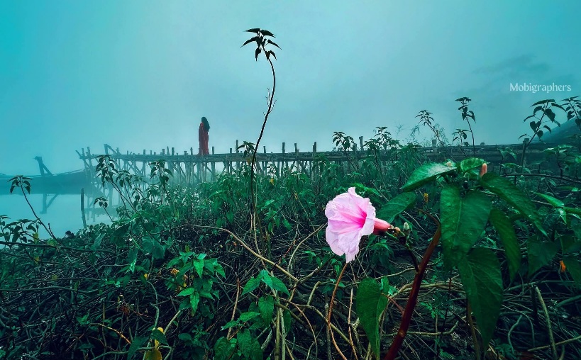 শীতের অপেক্ষা...