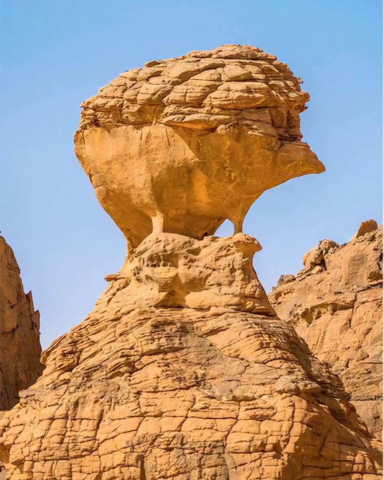Hedgehog shape rock formation, Algeria 🇩🇿