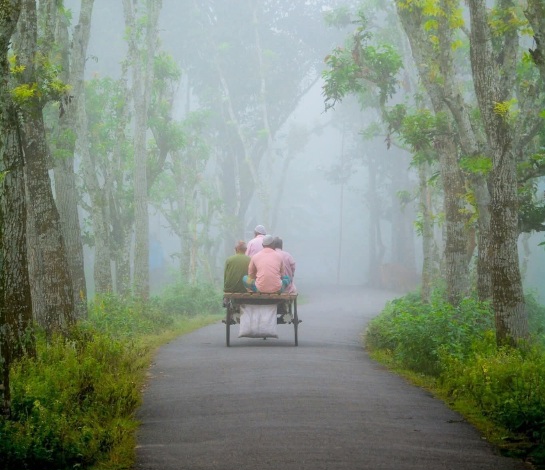 কুয়াশা ছন্ন শীতের সকালে সুন্দর দৃশ্য।