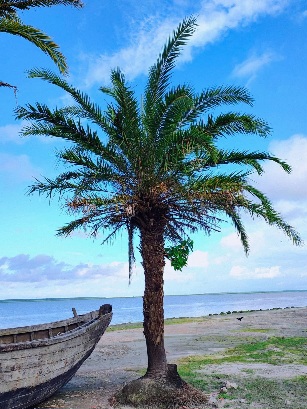 নোয়াখালির হাতিয়া দ্বীপের অসাধারণ সমুদ্রসৈকত, বাংলাদেশ।❤️