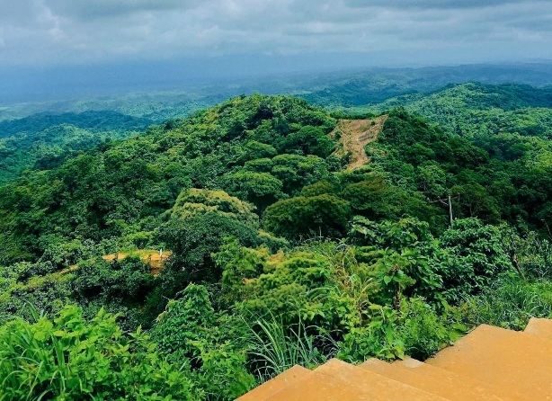 সীতাকুণ্ড চন্দ্রনাথ পাহাড় ট্রেকিং করলে এমন দৃশ্য আপনাকে মুগ্ধ করবেই।❤️
