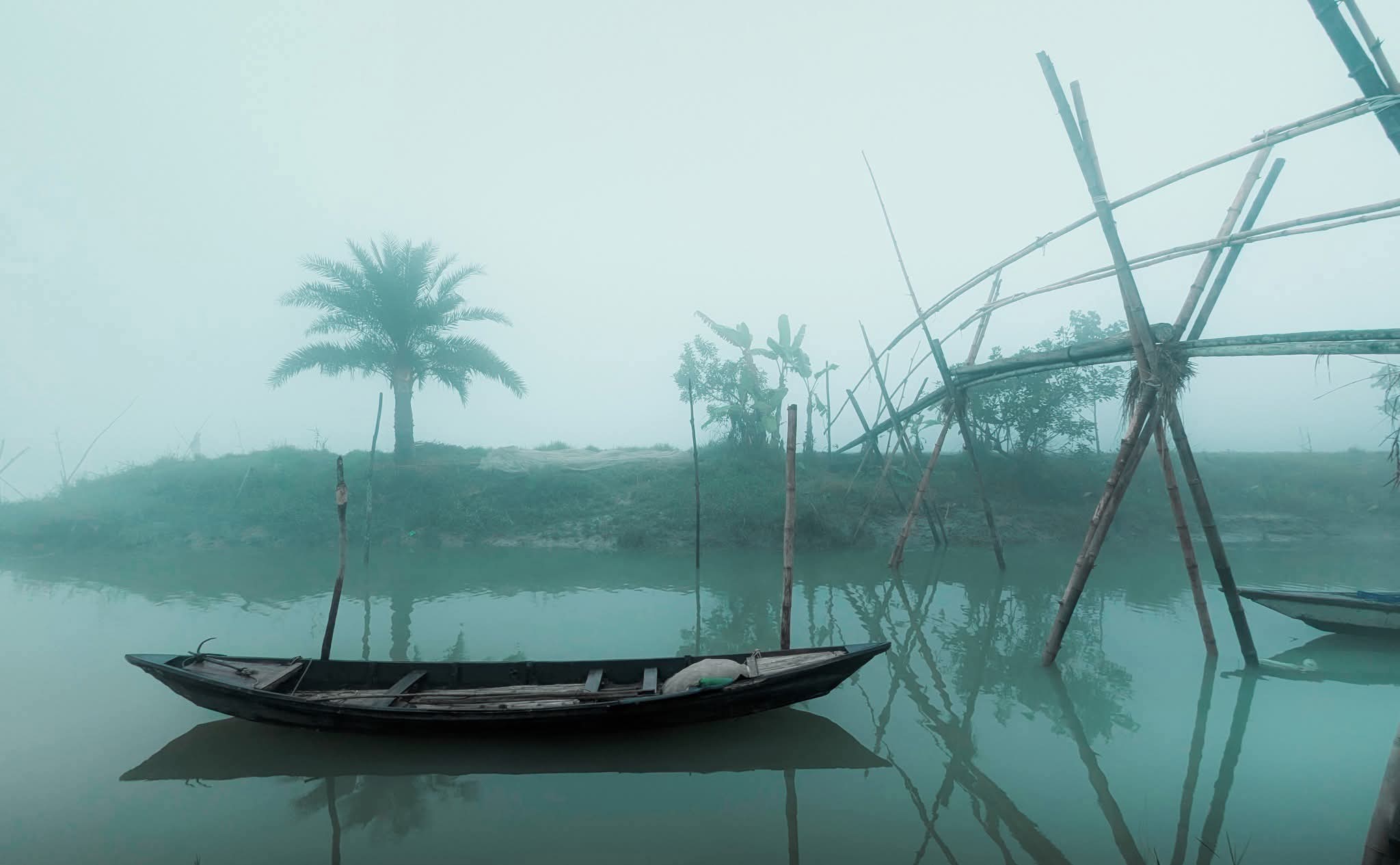 কুয়াশা ভরা সকালের মনোমুগ্ধকর পরিবেশের সুন্দর দৃশ্য। গ্রামিন সুন্দর দৃশ্য। গ্রাম বাংলা দৃশ্য। বাংলাদেশের সুন্দর দৃশ্য।