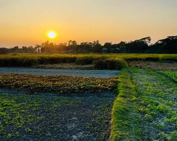মুন্সীগঞ্জের গ্রামীণ দৃশ্য। 
তন্তর ইউনিয়ন এলাকা, শ্রীনগর, মুন্সীগঞ্জ, বাংলাদেশ।
