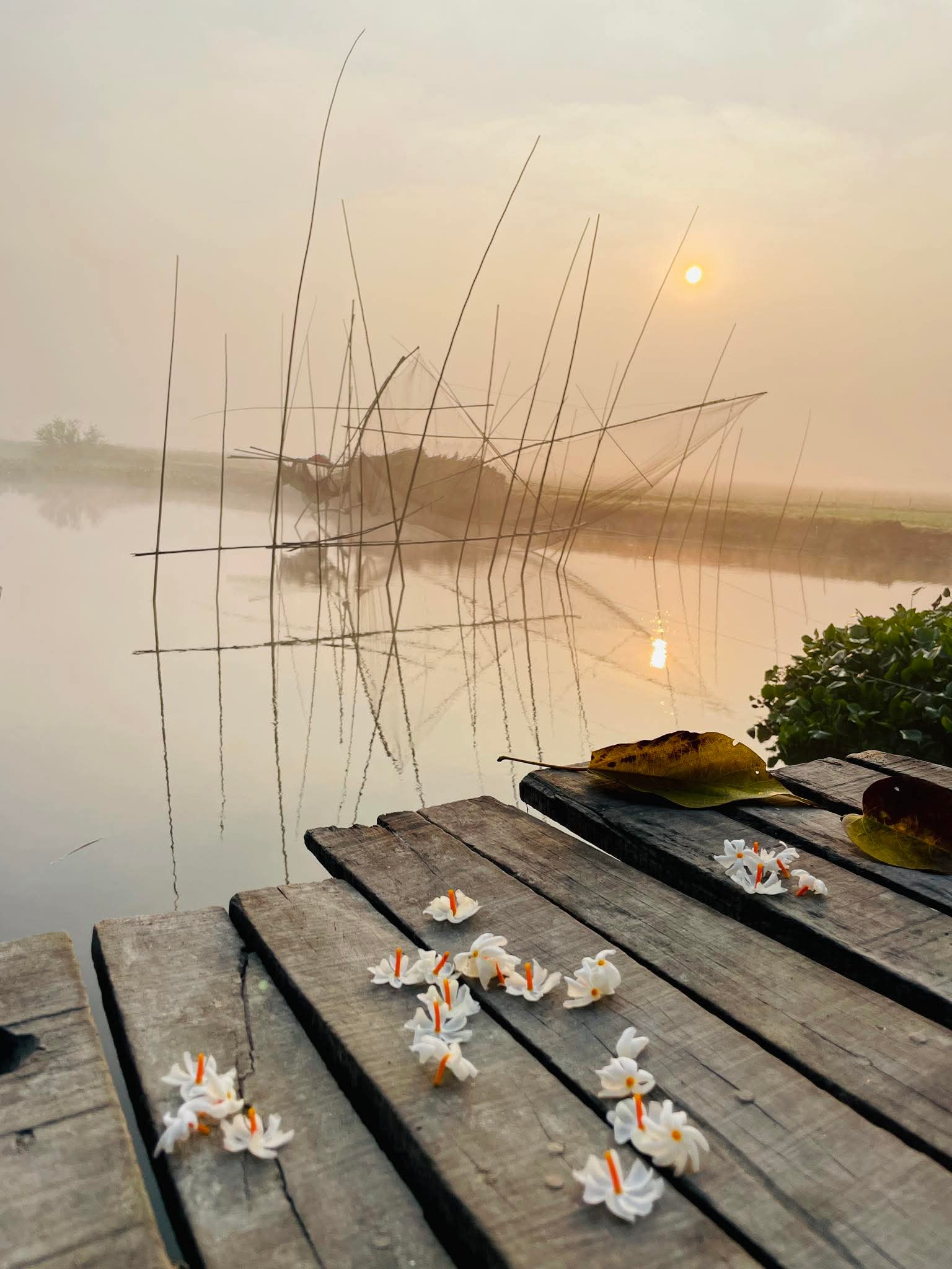 শুভ সকাল মুন্সীগঞ্জ, বিক্রমপুর। বৌলতলী ইউনিয়ন এলাকা। লৌহজং, মুন্সীগঞ্জ, বাংলাদেশ।