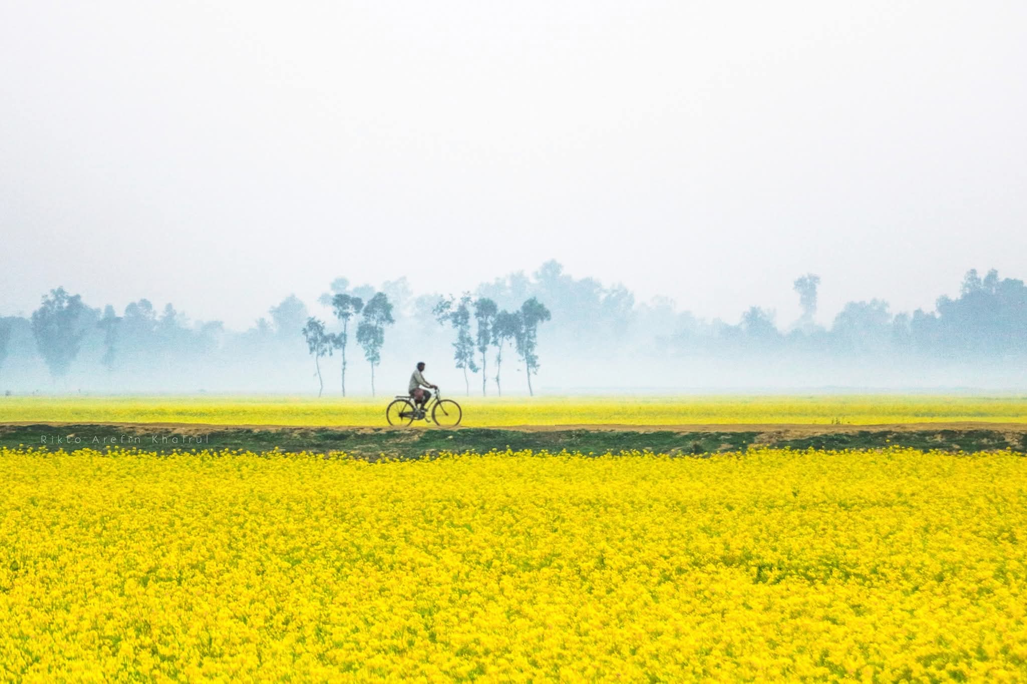 সরিষা ক্ষেতের সুন্দর দৃশ্য। সরিষা ফুলের সুন্দর ছবি। মেঠো পথে জীবনের ঘ্রাণ।💛
সিরাজগঞ্জ, বাংলাদেশ।
