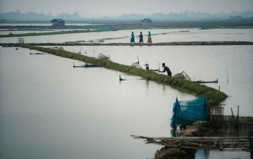 সাতক্ষীরার সুন্দর দৃশ্য। গ্রাম বাংলার সুন্দর ছবি। প্রাকৃতিক সুন্দর ছবি। সাতক্ষীরা, খুলনা, বাংলাদেশ। 🌿