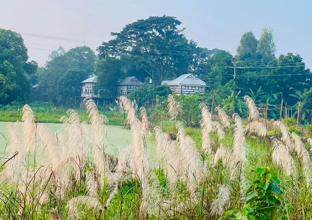 মুন্সীগঞ্জের শীতের সকালের দৃশ্য। বিক্রমপুরের সুন্দর দৃশ্য। মুন্সীগঞ্জের সুন্দর দৃশ্য।
#গ্রাম #ঘর #শীত #মুন্সীগঞ্জ #বিক্রমপুর