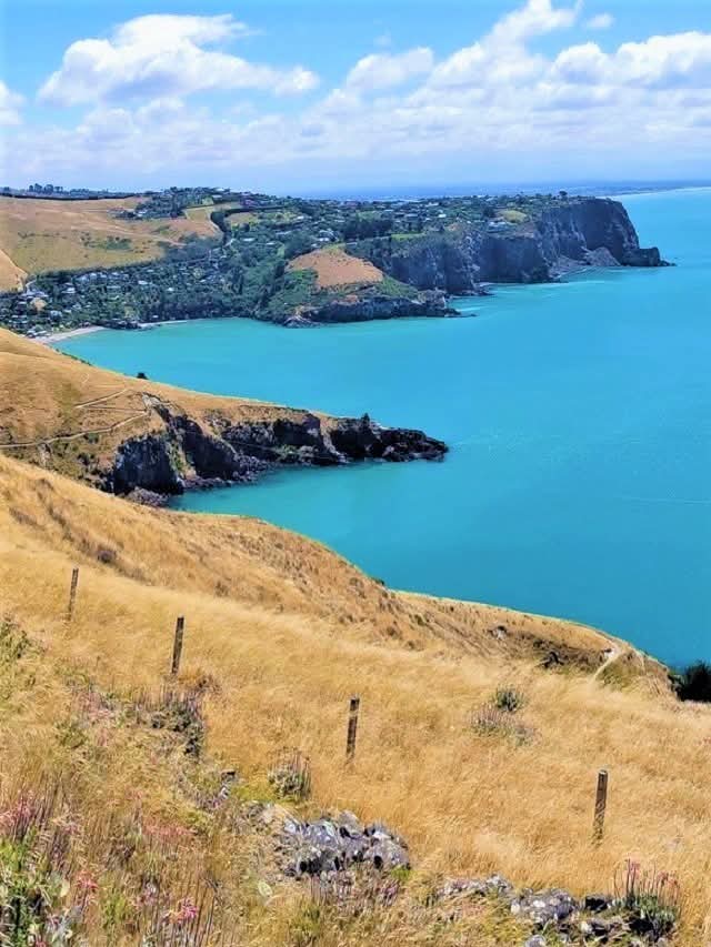 Banks Peninsula-South Island, New Zealand.