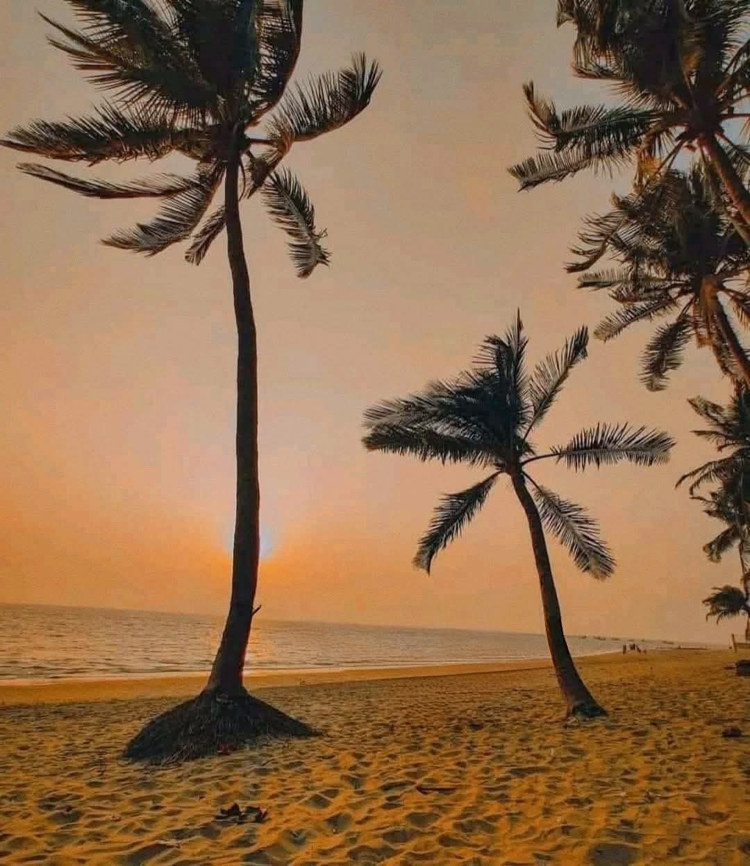 প্রবাল দ্বীপ সেন্টমার্টিনে যখন সূর্যাস্তের সুন্দর ছবি!❤️