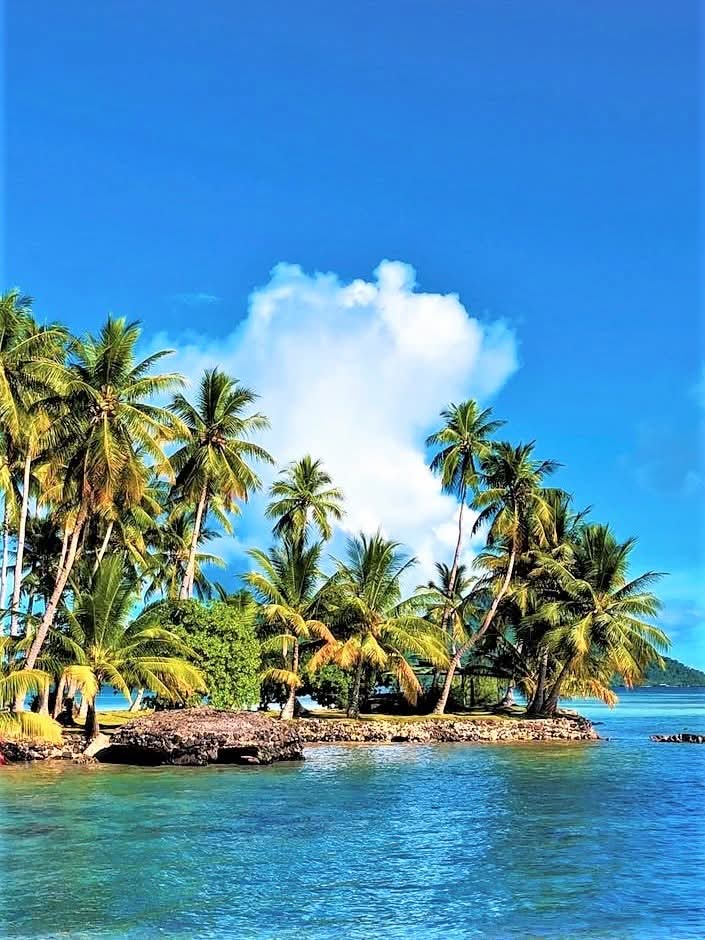 Chuuk Lagoon- Federated States of Micronesia.